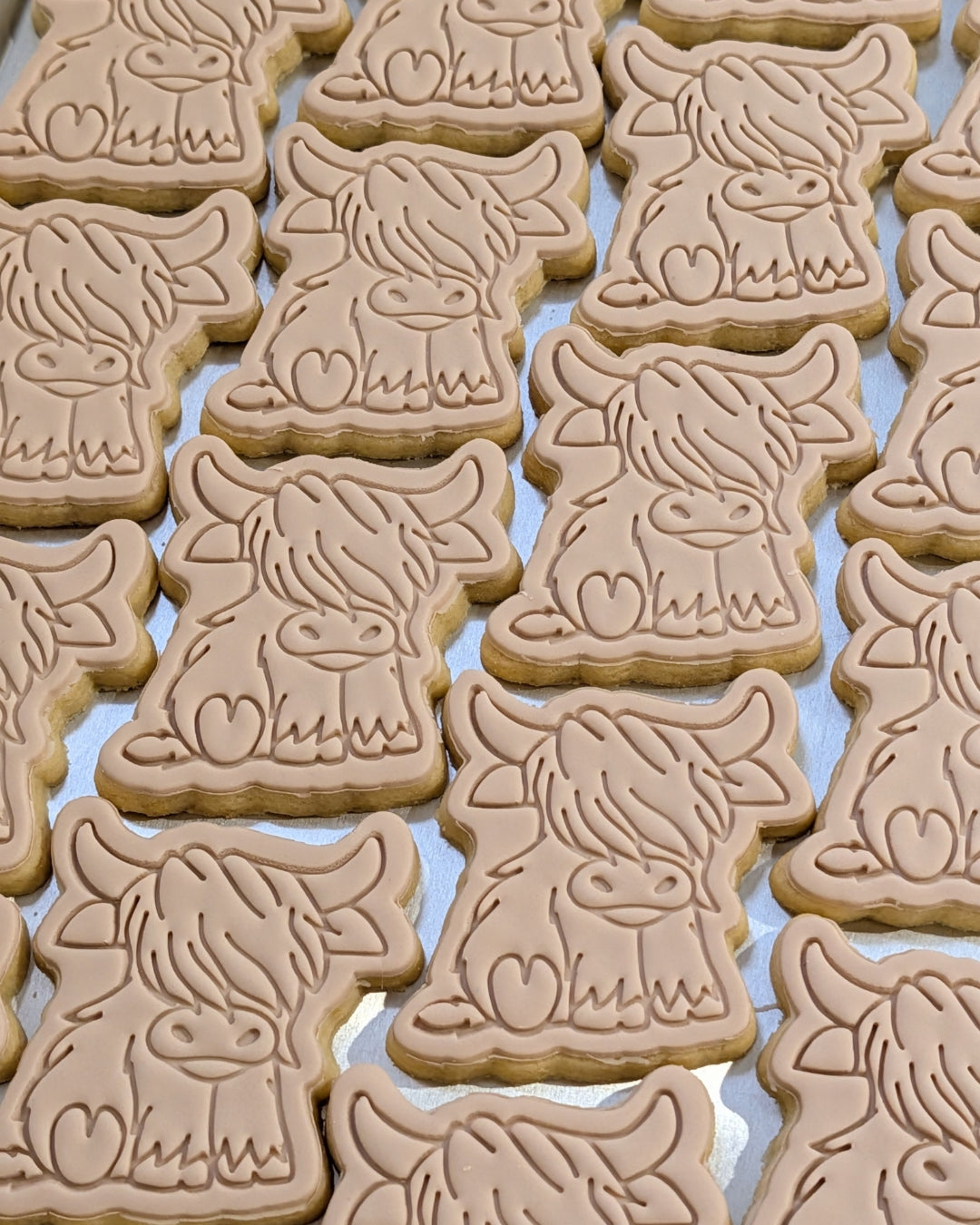 Highland Cow Cookies