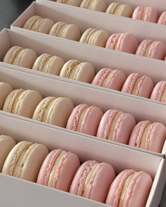 Macaron Packs