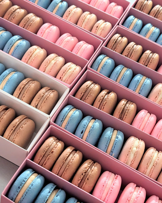 Macaron Packs