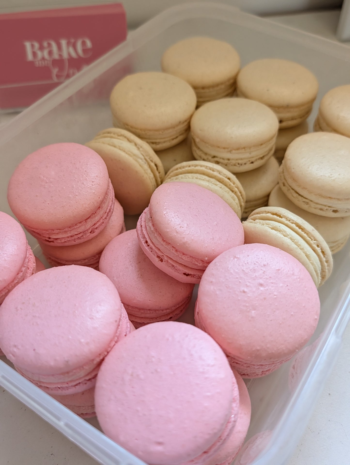 Macaron Packs