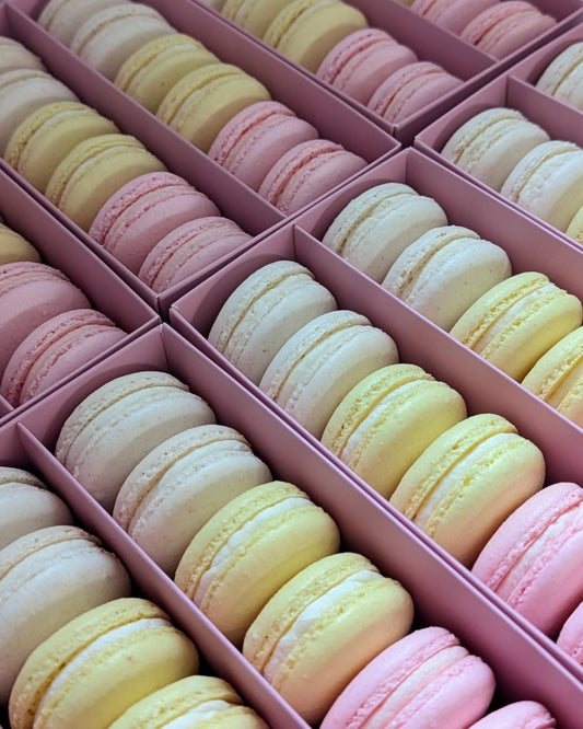 Macaron Packs